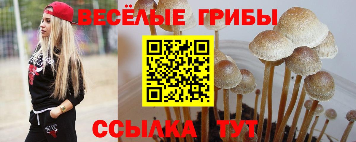 Псилоцибиновые грибы мухоморы Туапсе